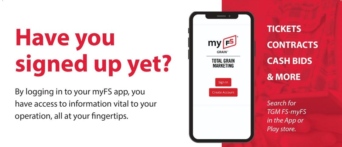 myfs-grain-app-1